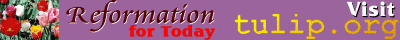 TULIP.ORG - Reformation for Today